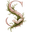 Sera Moss Books favicon